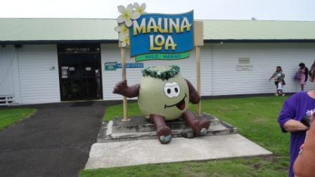 Mauna Loa Macadamia Nut Plant